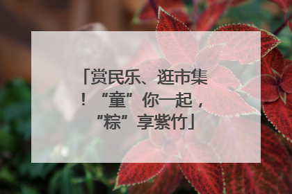 赏民乐、逛市集！“童”你一起，“粽”享紫竹