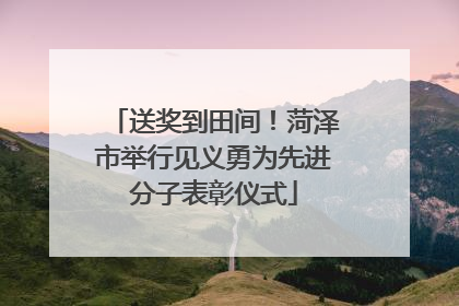 送奖到田间！菏泽市举行见义勇为先进分子表彰仪式