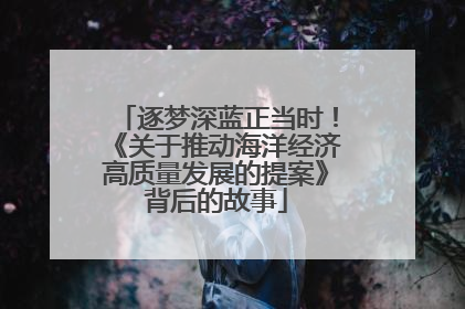 逐梦深蓝正当时！《关于推动海洋经济高质量发展的提案》背后的故事
