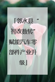 邻水县“智改数转”赋能汽车零部件产业升级