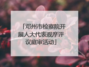邓州市检察院开展人大代表观摩评议庭审活动