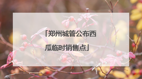 郑州城管公布西瓜临时销售点