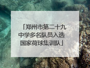 郑州市第二十九中学多名队员入选国家荷球集训队