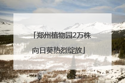 郑州植物园2万株向日葵热烈绽放