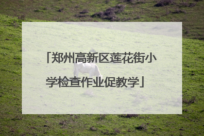 郑州高新区莲花街小学检查作业促教学