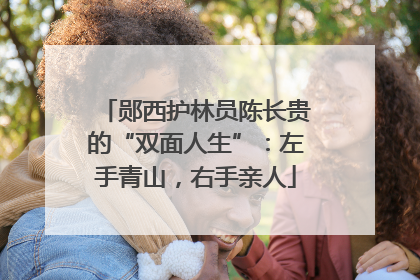 郧西护林员陈长贵的“双面人生”：左手青山，右手亲人
