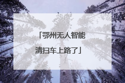 鄂州无人智能清扫车上路了