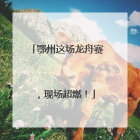 鄂州这场龙舟赛，现场超燃！
