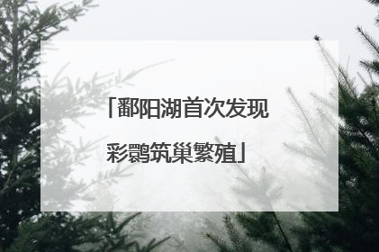 鄱阳湖首次发现彩鹮筑巢繁殖