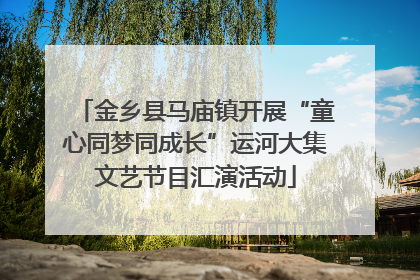 金乡县马庙镇开展“童心同梦同成长”运河大集文艺节目汇演活动