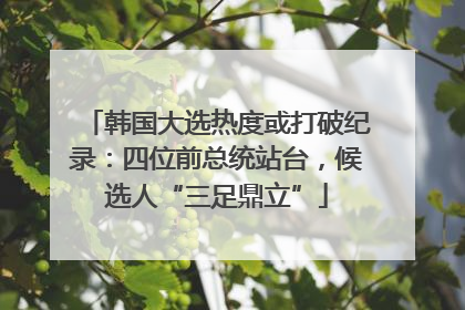 韩国大选热度或打破纪录：四位前总统站台，候选人“三足鼎立”