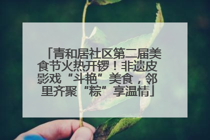青和居社区第二届美食节火热开锣！非遗皮影戏“斗艳”美食，邻里齐聚“粽”享温情