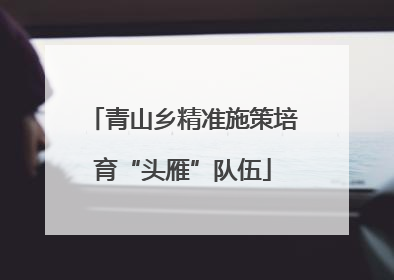 青山乡精准施策培育“头雁”队伍