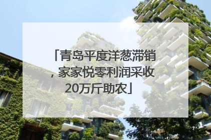青岛平度洋葱滞销，家家悦零利润采收20万斤助农