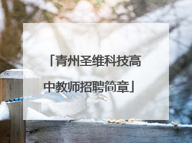 青州圣维科技高中教师招聘简章