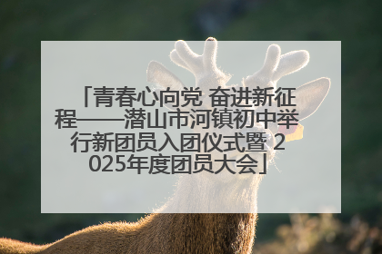 青春心向党 奋进新征程——潜山市河镇初中举行新团员入团仪式暨 2025年度团员大会