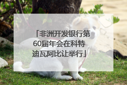 非洲开发银行第60届年会在科特迪瓦阿比让举行
