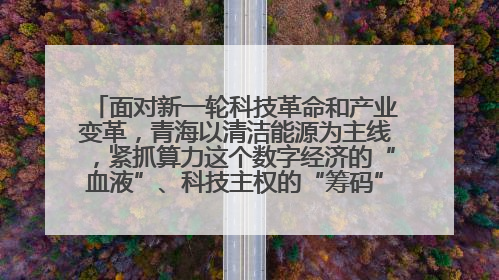 面对新一轮科技革命和产业变革，青海以清洁能源为主线，紧抓算力这个数字经济的“血液”、科技主权的“筹码”、产业升级的“杠杆”、绿色转型的“支点”，勇于撬动国家“双碳”战略、“东数西算”工程重大发展新机遇
