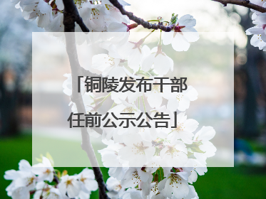 铜陵发布干部任前公示公告