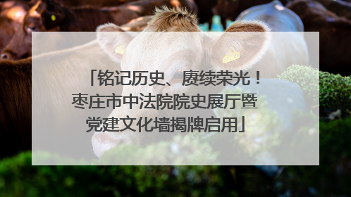 铭记历史、赓续荣光！枣庄市中法院院史展厅暨党建文化墙揭牌启用