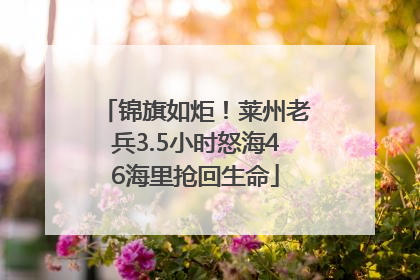 锦旗如炬！莱州老兵3.5小时怒海46海里抢回生命