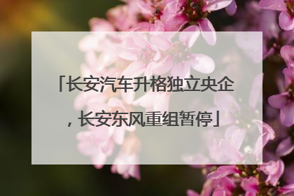 长安汽车升格独立央企，长安东风重组暂停