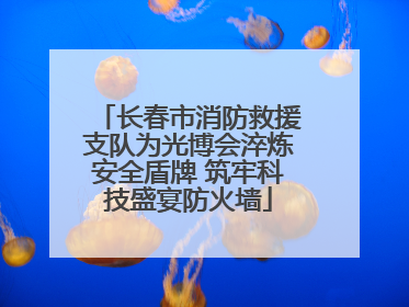 长春市消防救援支队为光博会淬炼安全盾牌 筑牢科技盛宴防火墙