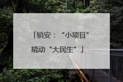 镇安：“小项目”撬动“大民生”