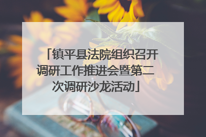 镇平县法院组织召开调研工作推进会暨第二次调研沙龙活动