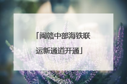 闽赣中部海铁联运新通道开通