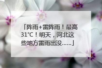 阵雨+雷阵雨！最高31℃！明天，河北这些地方雷雨出没……