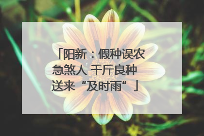 阳新：假种误农急煞人 千斤良种送来“及时雨”
