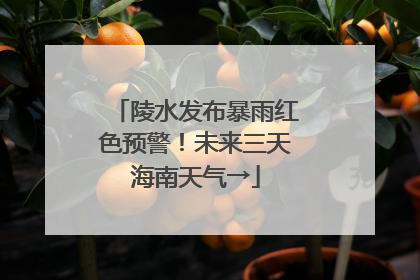 陵水发布暴雨红色预警！未来三天海南天气→