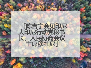 陈吉宁会见印尼大印尼行动党秘书长、人民协商会议主席穆扎尼