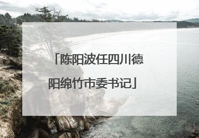 陈阳波任四川德阳绵竹市委书记