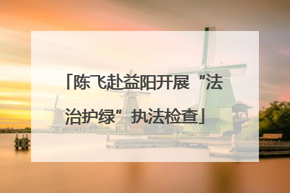 陈飞赴益阳开展“法治护绿”执法检查