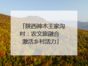 陕西神木王家沟村：农文旅融合 激活乡村活力