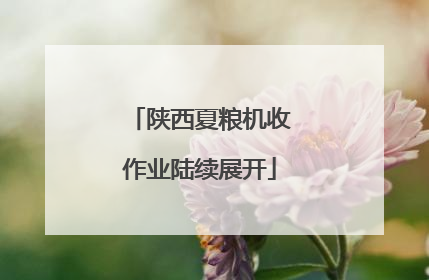 陕西夏粮机收作业陆续展开