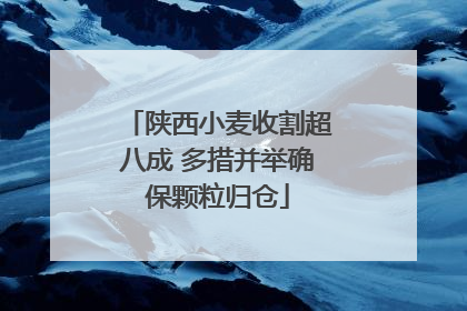 陕西小麦收割超八成 多措并举确保颗粒归仓
