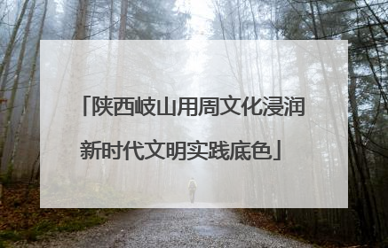 陕西岐山用周文化浸润新时代文明实践底色