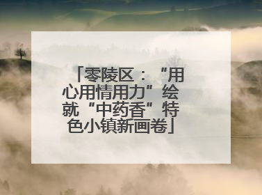 零陵区：“用心用情用力”绘就“中药香”特色小镇新画卷