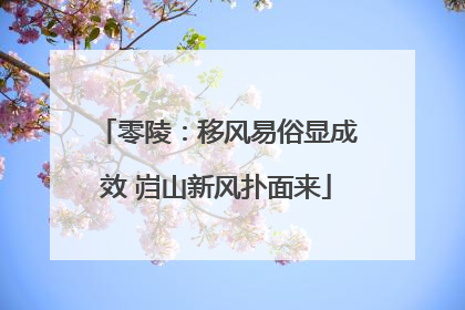 零陵：移风易俗显成效 岿山新风扑面来