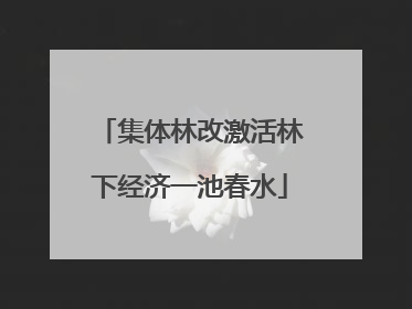 集体林改激活林下经济一池春水