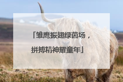 雏鹰振翅绿茵场，拼搏精神耀童年