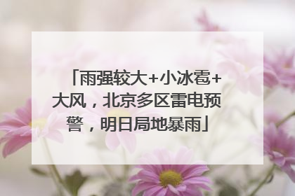 雨强较大+小冰雹+大风，北京多区雷电预警，明日局地暴雨