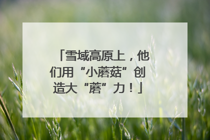 雪域高原上，他们用“小蘑菇”创造大“蘑”力！
