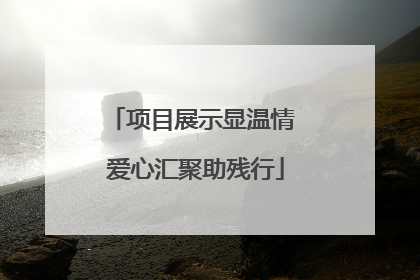 项目展示显温情 爱心汇聚助残行