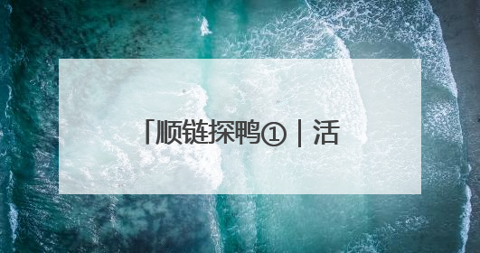 顺链探鸭①｜活鸭20元一斤，街头烤鸭为何却能卖到20多元一只