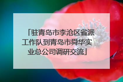 驻青岛市李沧区省派工作队到青岛市舜华实业总公司调研交流