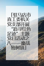 驻马店市直工委机关党支部开展“追寻红色足迹”主题党日活动之八——鏖战独树镇